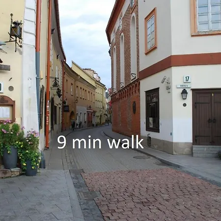 El Fireplace In Unesco World Heritage Old Town Daire Vilnius